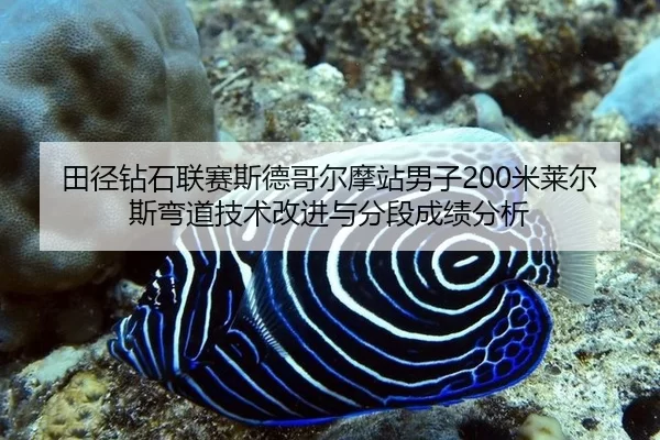 tian-jing-zuan-shi-lian-sai-si-de-ge-er-mo-zhan-nan-zi-mi-lai-er-si-wan-dao-ji-shu-gai-jin-yu-fen-duan-cheng-ji-fen-xi-2-715.jpg