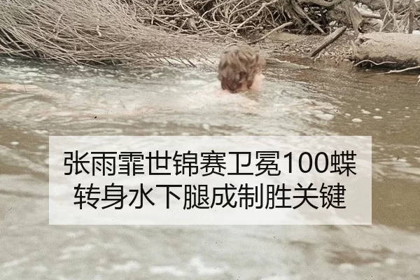 张雨霏世锦赛卫冕100蝶 转身水下腿成制胜关键