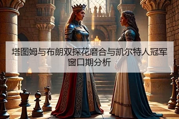 ta-tu-mu-yu-bu-lang-shuang-tan-hua-mo-he-yu-kai-er-te-ren-guan-jun-chuang-kou-qi-fen-xi-3-288.jpg